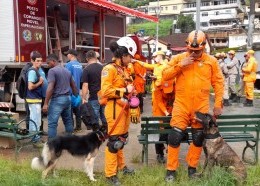 Dois cães farejadores do CBMMA seguem procurando vítimas do deslizamento de terra na cidade de Petrópolis